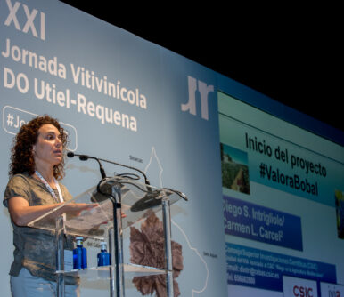Utiel-Requena anuncia en su XXI Jornada Vitivinícola el Proyecto #ValoraBobal
