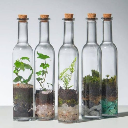 5 Ideas para reciclar tus botellas de vino 0