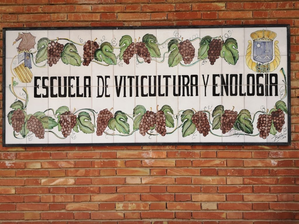 escuela de viticultura y enologia felix jimenez de requena