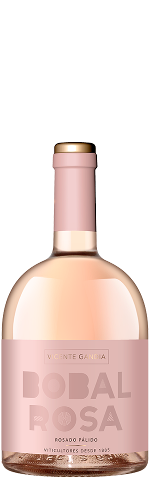Los mejores vinos rosados para tus planes de verano 6