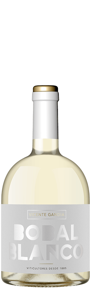 Los vinos blancos ideales para tus planes de verano 4