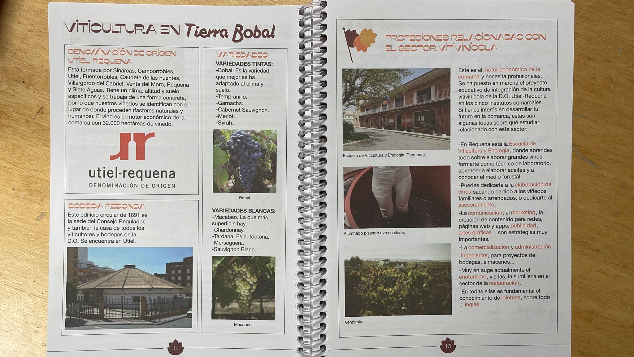 La agenda escolar de Tierra Bobal sensibiliza sobre la DO Utiel-Requena a más de 5.000 alumnos