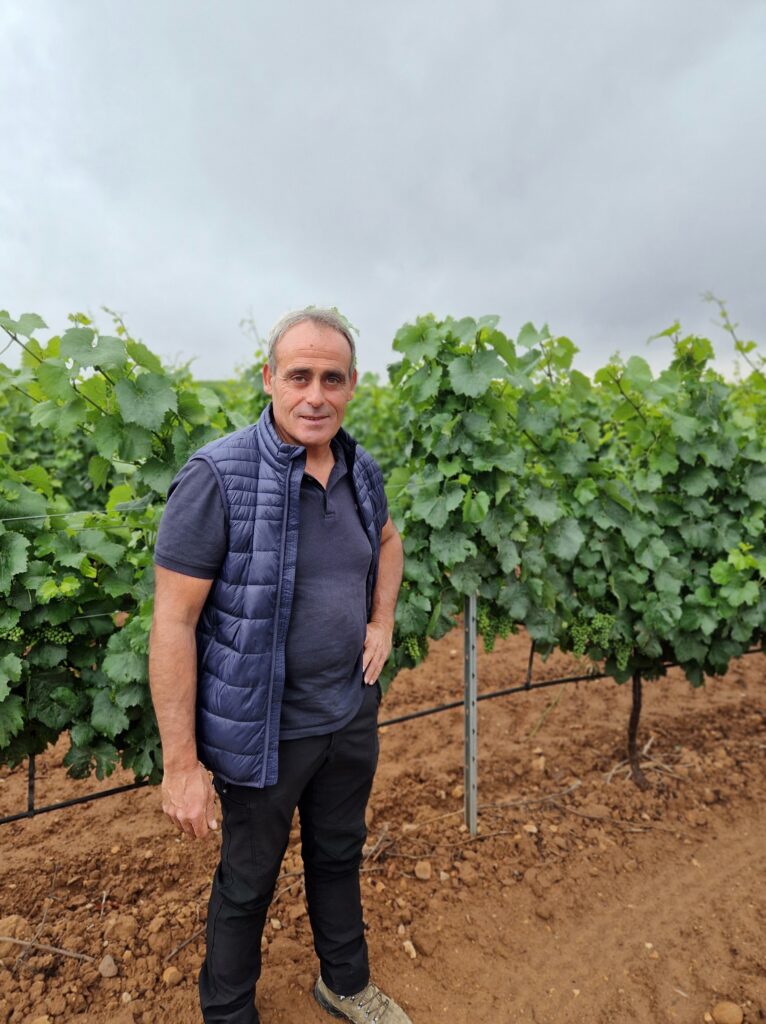 Emilio Viana: defensor de la viticultura tradicional y ecológica de la DO Utiel-Requena. 0