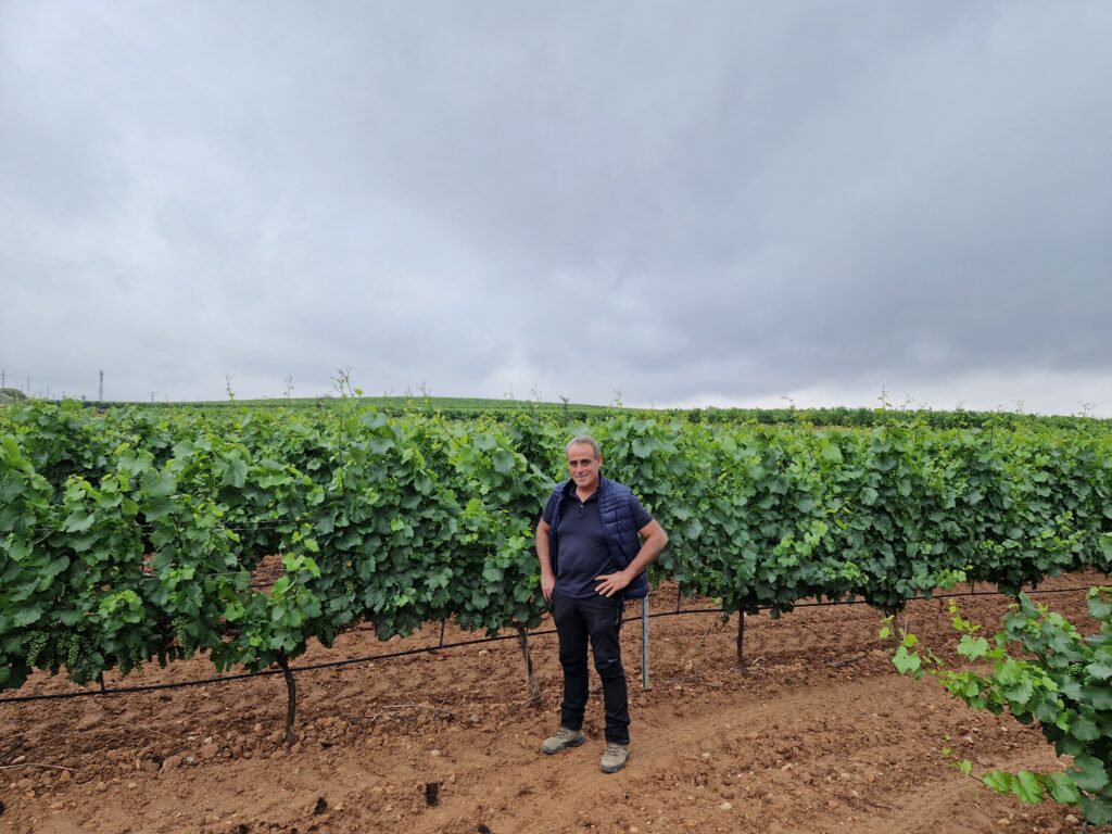 Emilio Viana: defensor de la viticultura tradicional y ecológica de la DO Utiel-Requena. 1