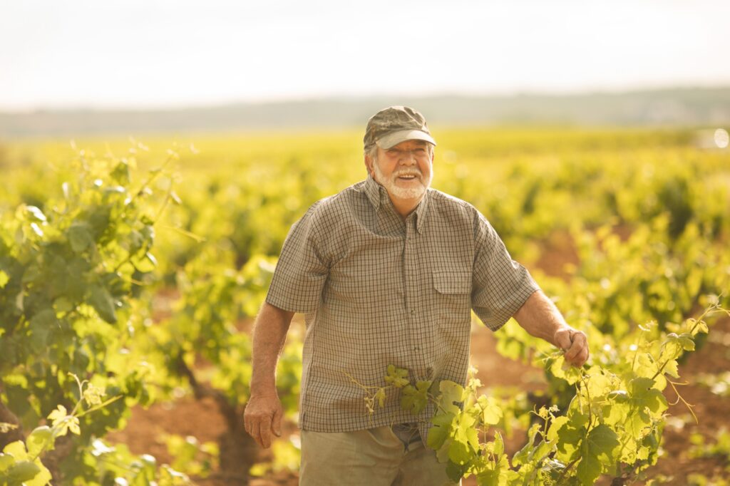 Ventajas de elegir vinos con Denominación de Origen 1