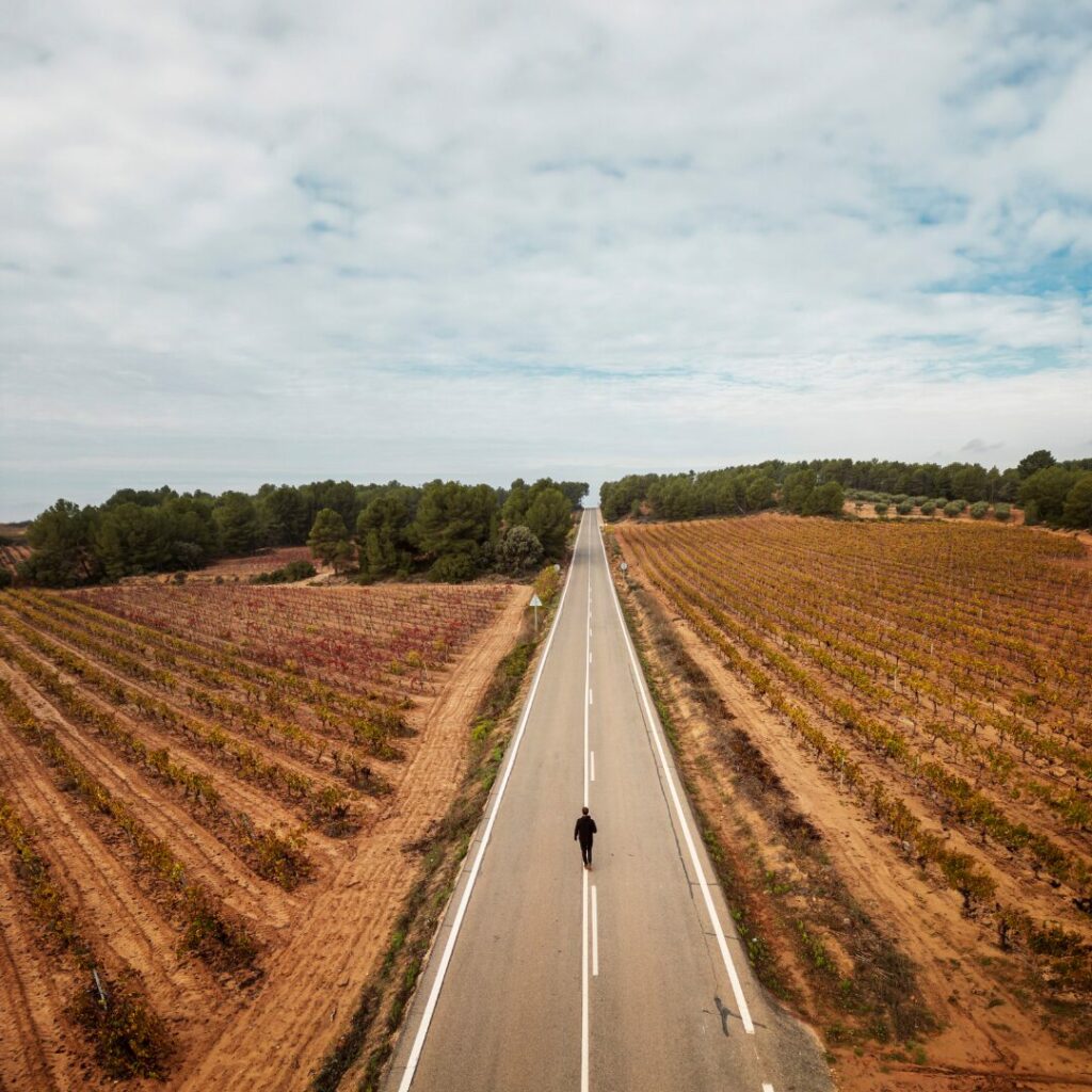 Enoturismo en Enero: Actividades Vinícolas para Disfrutar del Invierno en Utiel-Requena 0