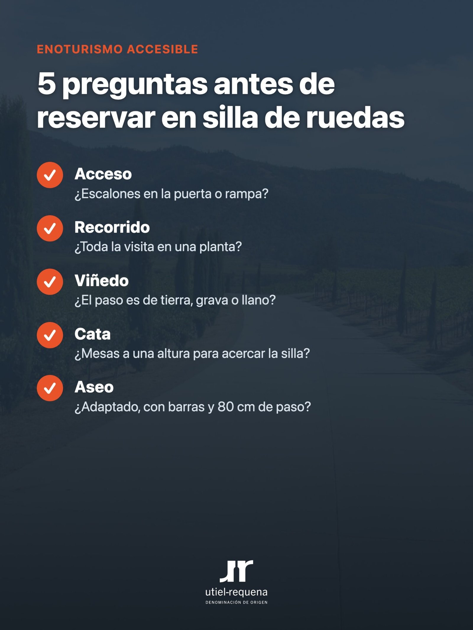 Cinco preguntas antes de reservar una visita a bodega en silla de ruedas: acceso, recorrido, viñedo, cata y aseo