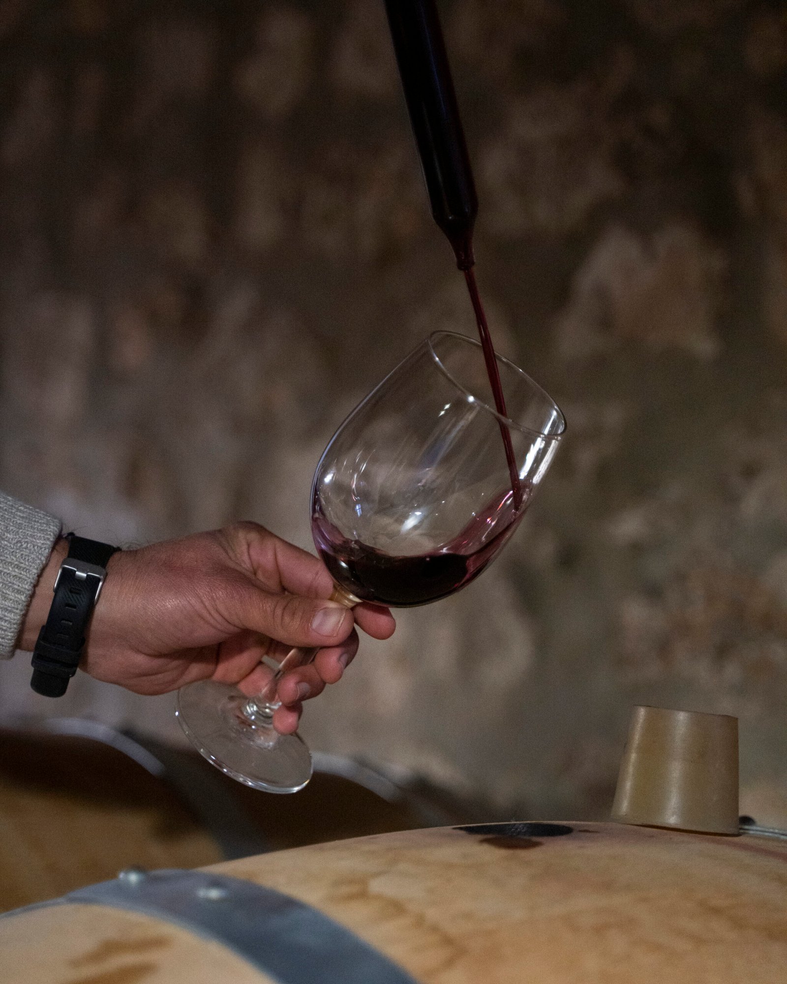 Cata de vino de barrica en la bodega de envejecimiento de Bodegas Iranzo