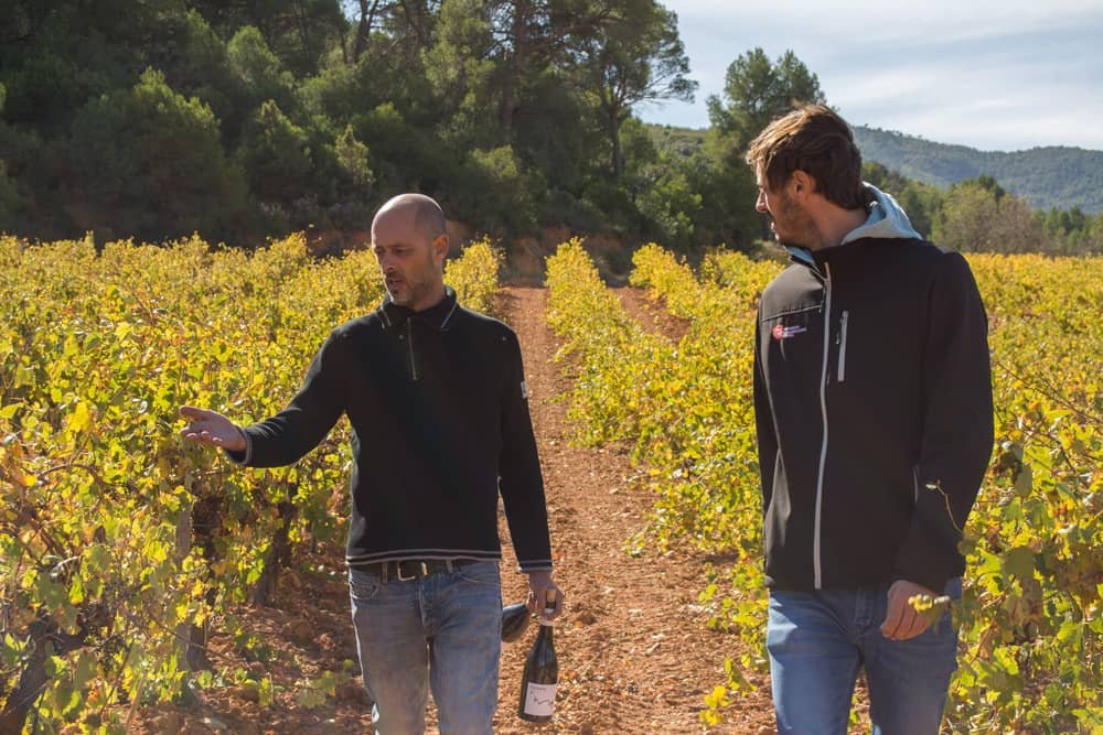 Paseo entre las viñas viejas de bobal del proyecto Bobal de SanJuan