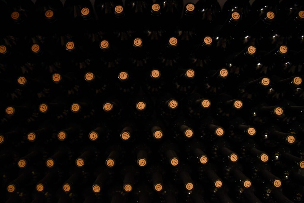 Vinoteca o nevera de vino: si de verdad la necesitas y cómo elegirla