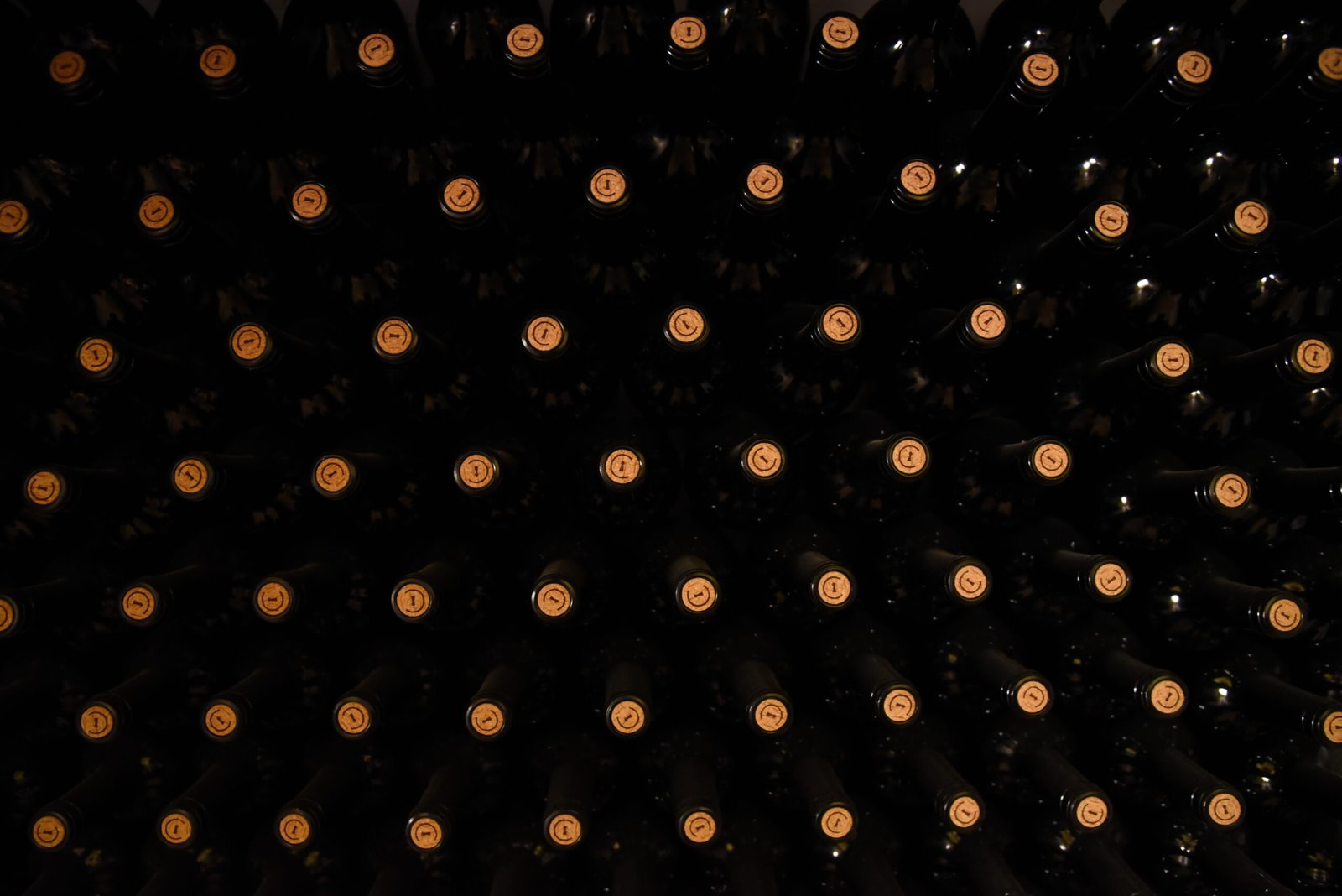 Botellas envejeciendo en rima en la bodega Vinea Clausa, en Fuenterrobles