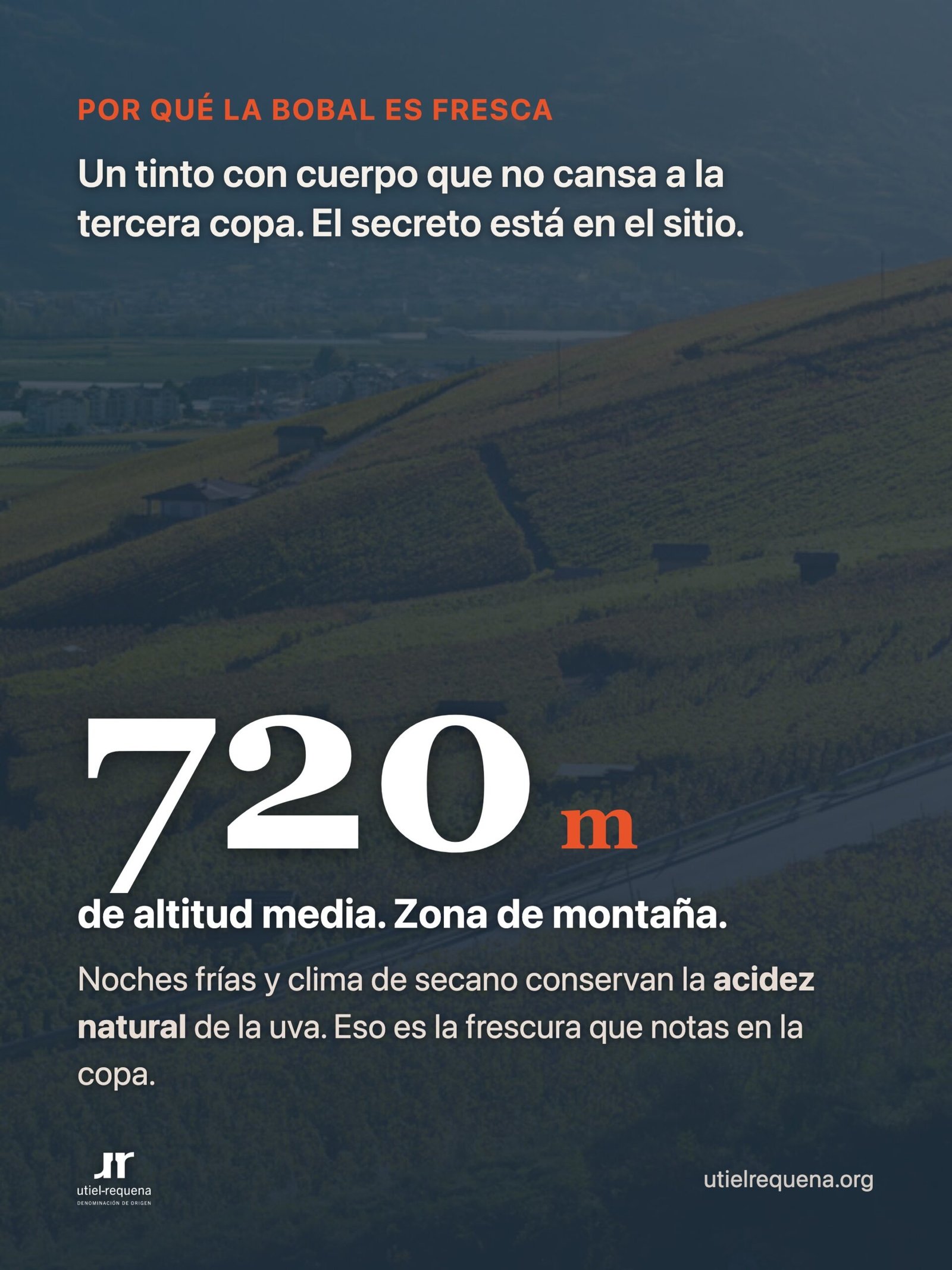 Altitud media de 720 metros: por qué la Bobal de Utiel-Requena tiene frescura y acidez natural
