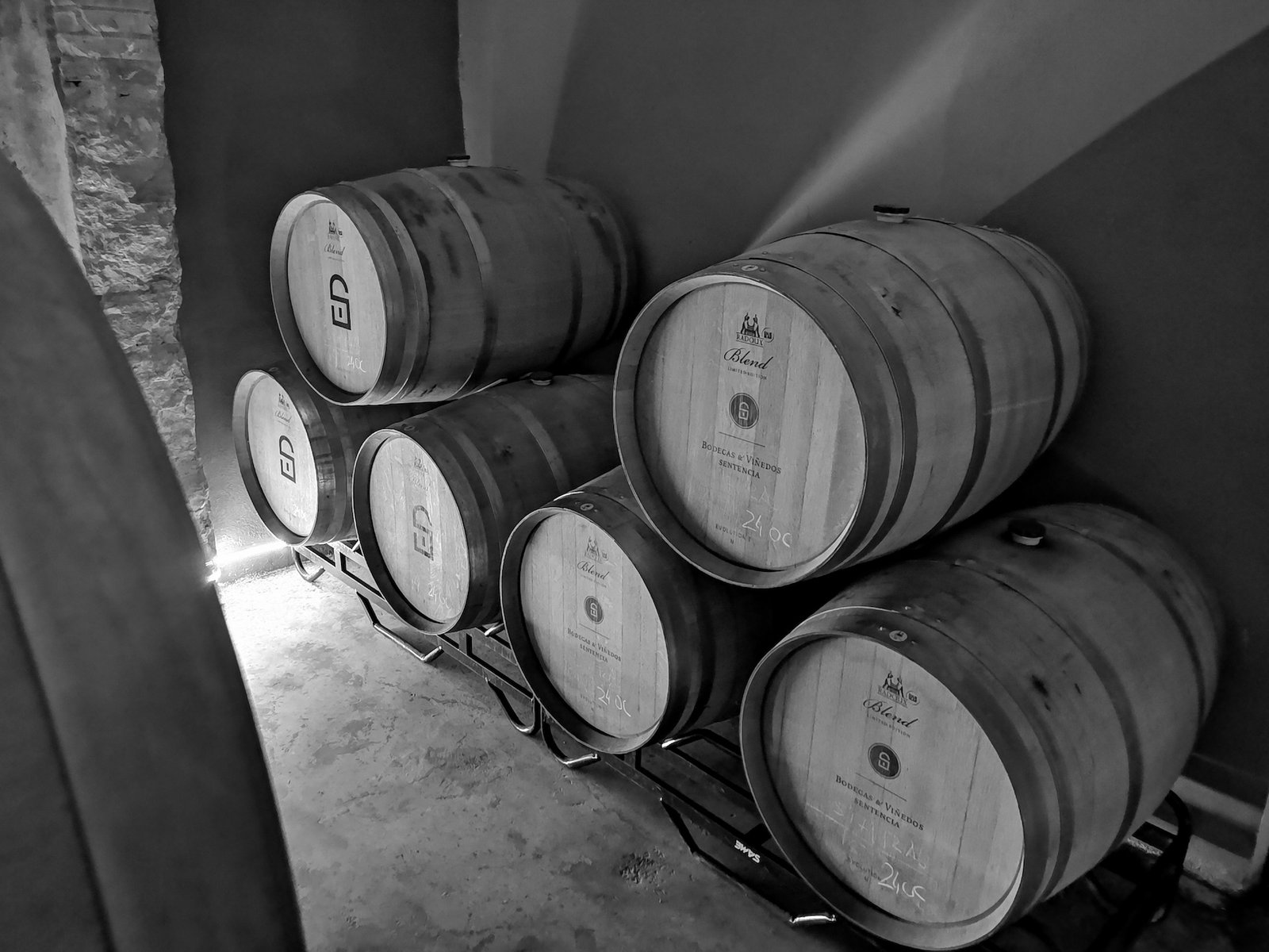 Barricas de roble francés en la bodega garaje de Bodegas Sentencia