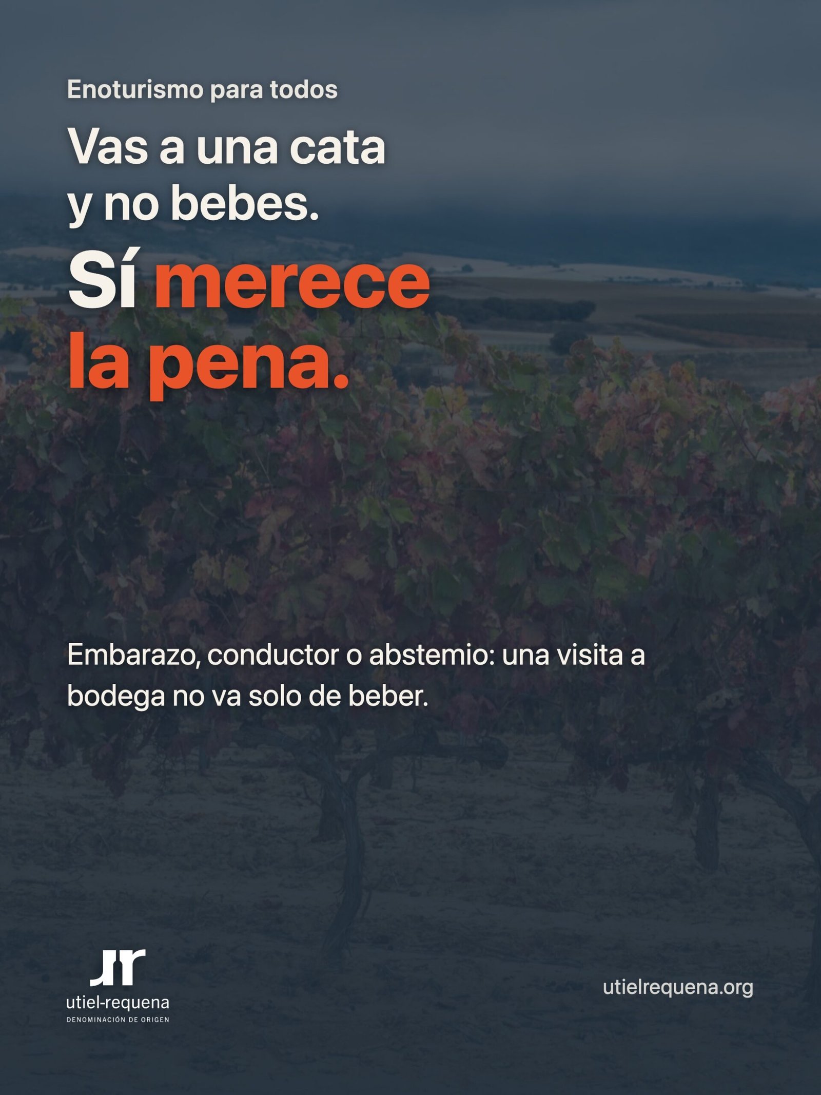 Ir a una cata de vinos sin beber alcohol en la DO Utiel-Requena: por qué merece la pena