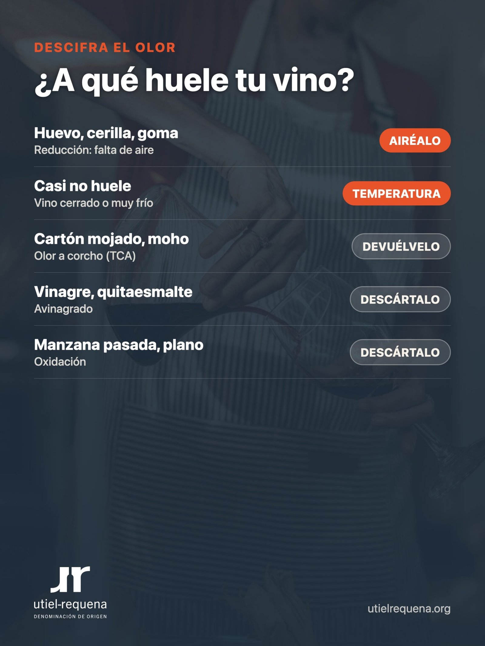 Qué significa cada olor raro del vino al abrirlo: reduccion, corcho, avinagrado u oxidacion