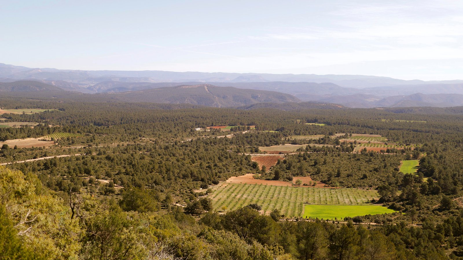 Paisaje de cerros y parcelas del término de Sinarcas