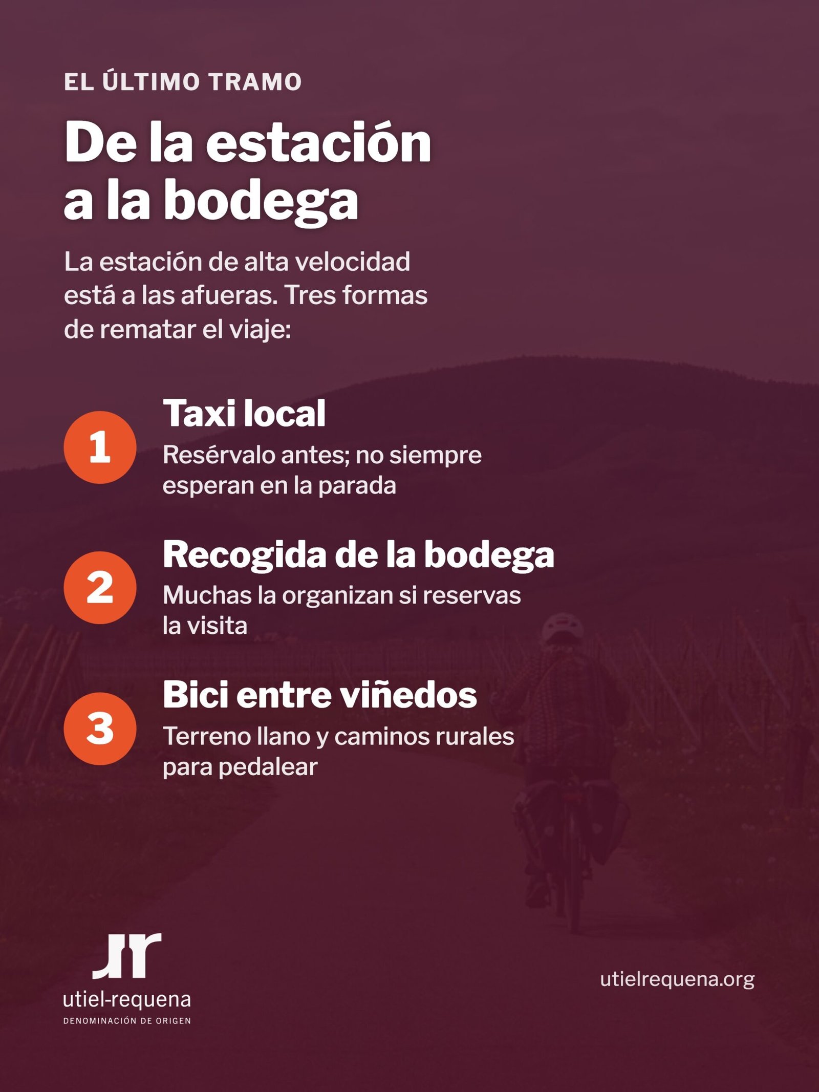 De la estación Requena-Utiel a la bodega sin coche: taxi local, recogida de la bodega o bici