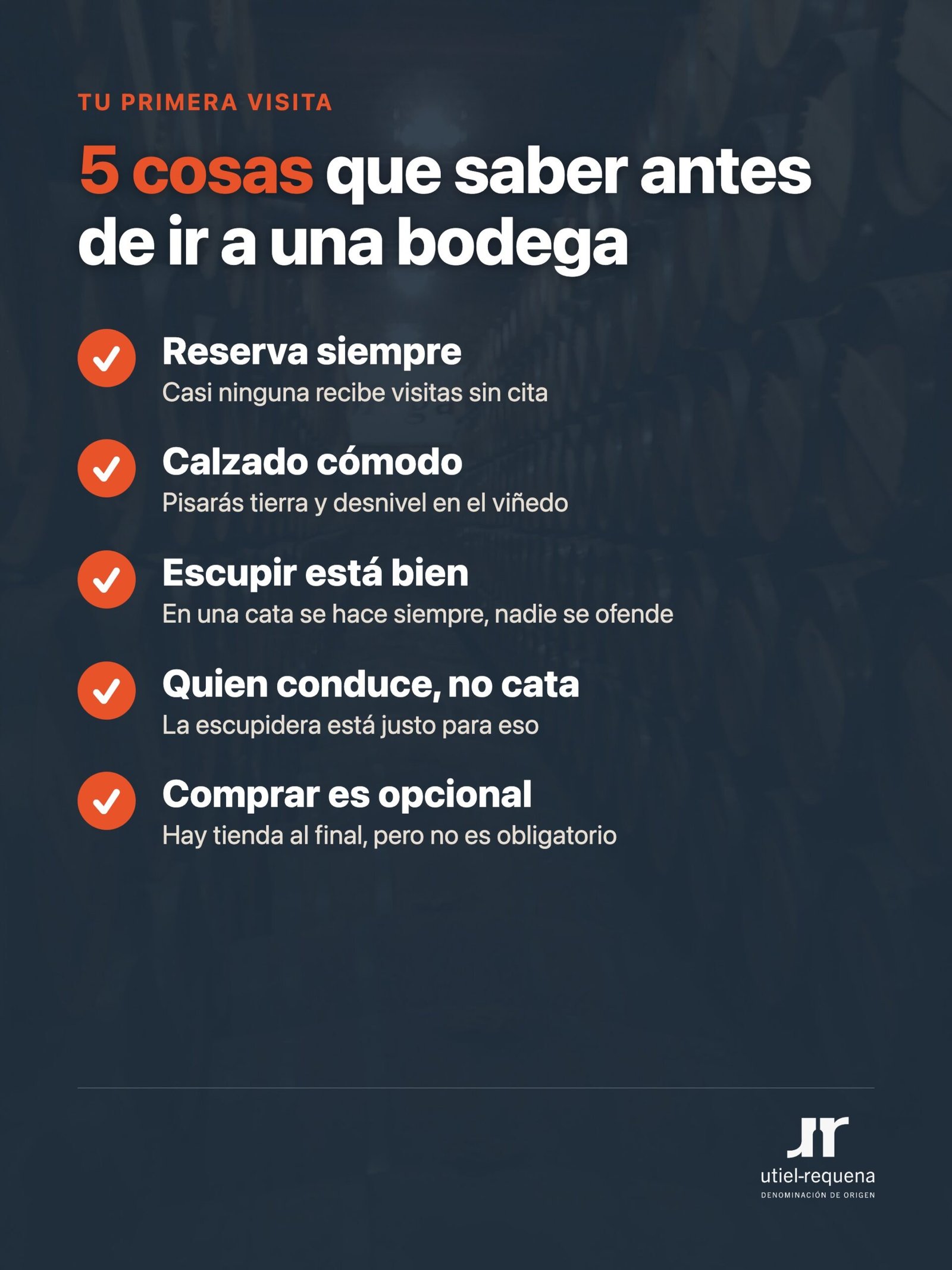 5 cosas que saber antes de tu primera visita a una bodega