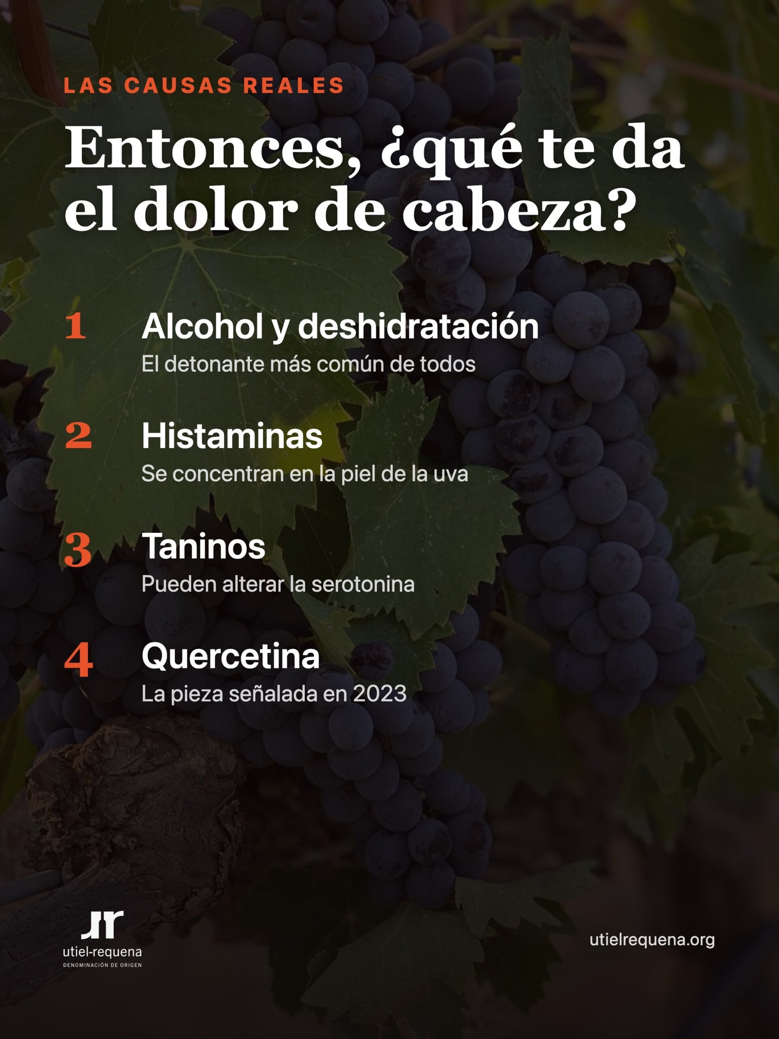 Causas reales del dolor de cabeza por vino tinto: alcohol, histaminas, taninos y quercetina