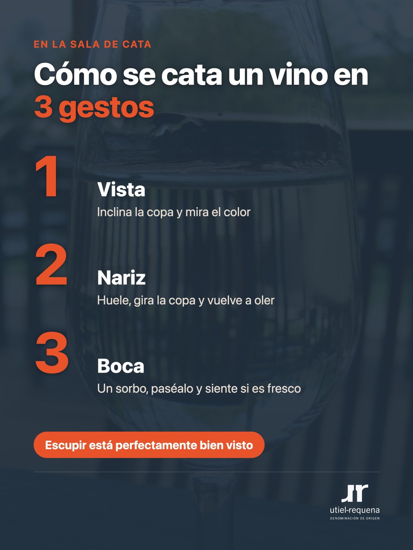 Cómo se cata un vino en 3 gestos: vista, nariz y boca