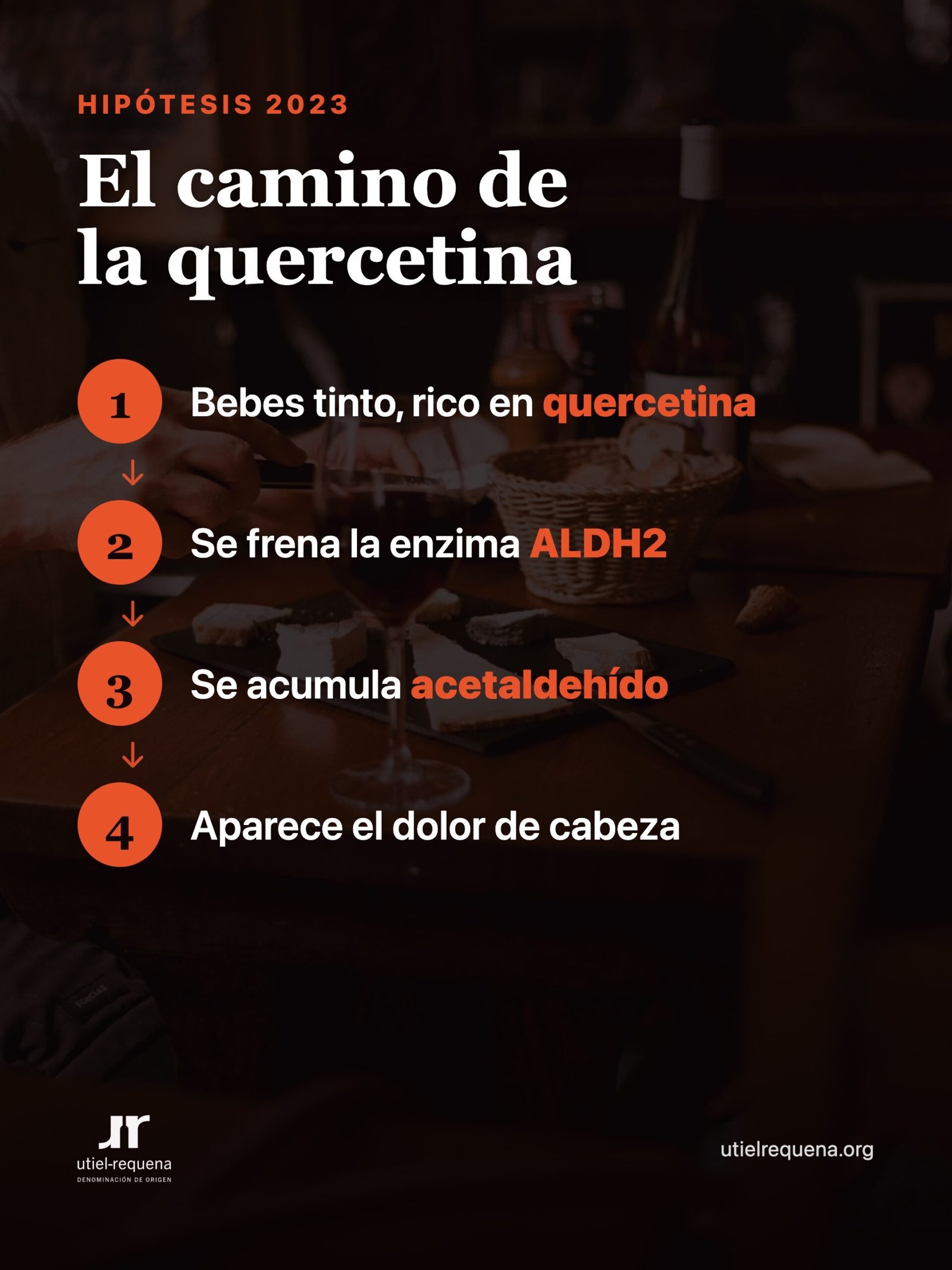 Cómo la quercetina del vino tinto podría provocar dolor de cabeza al frenar la enzima ALDH2, hipótesis de 2023