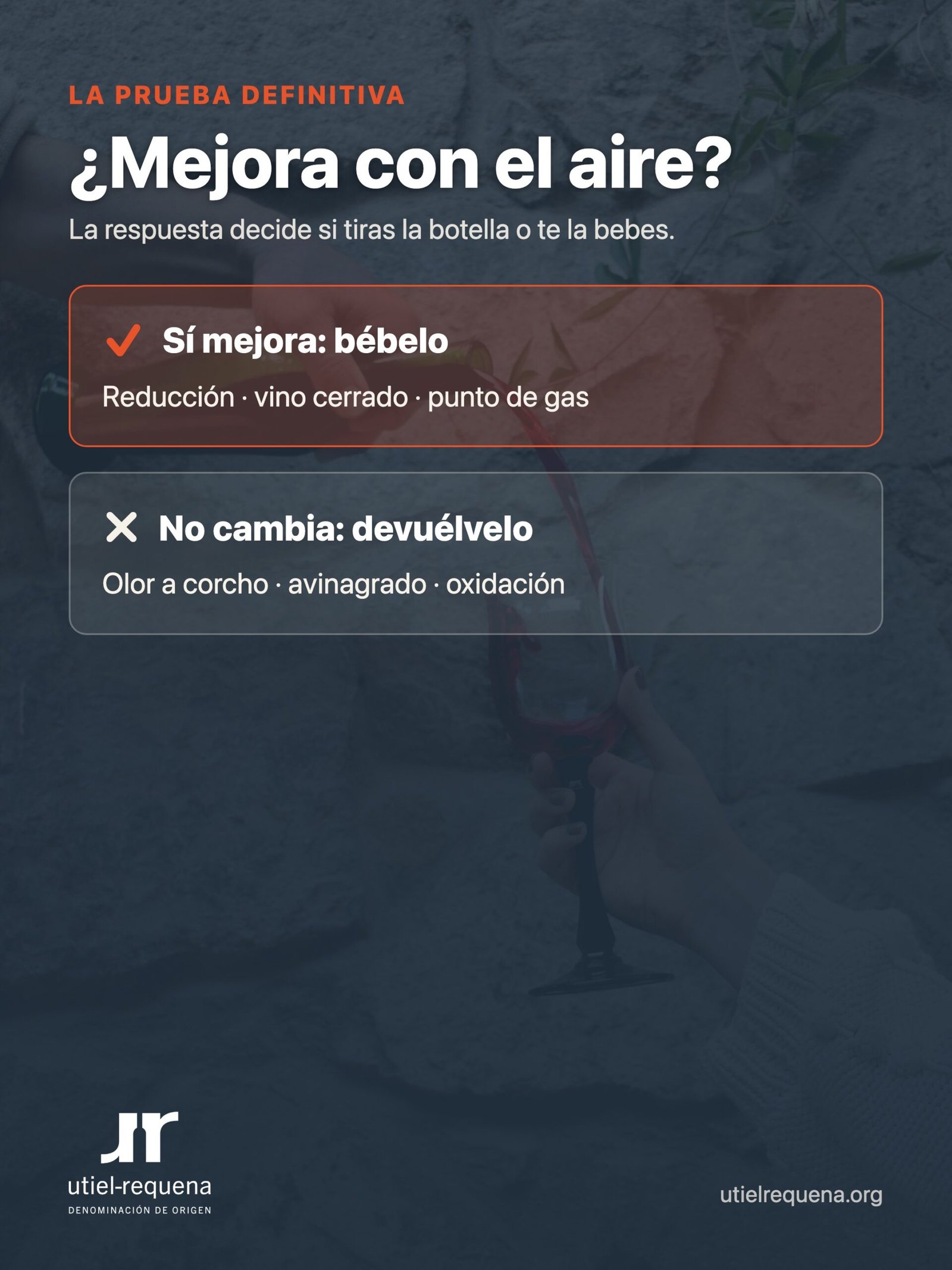 Si el vino mejora con el aire no es un defecto; si no cambia, hay que devolverlo