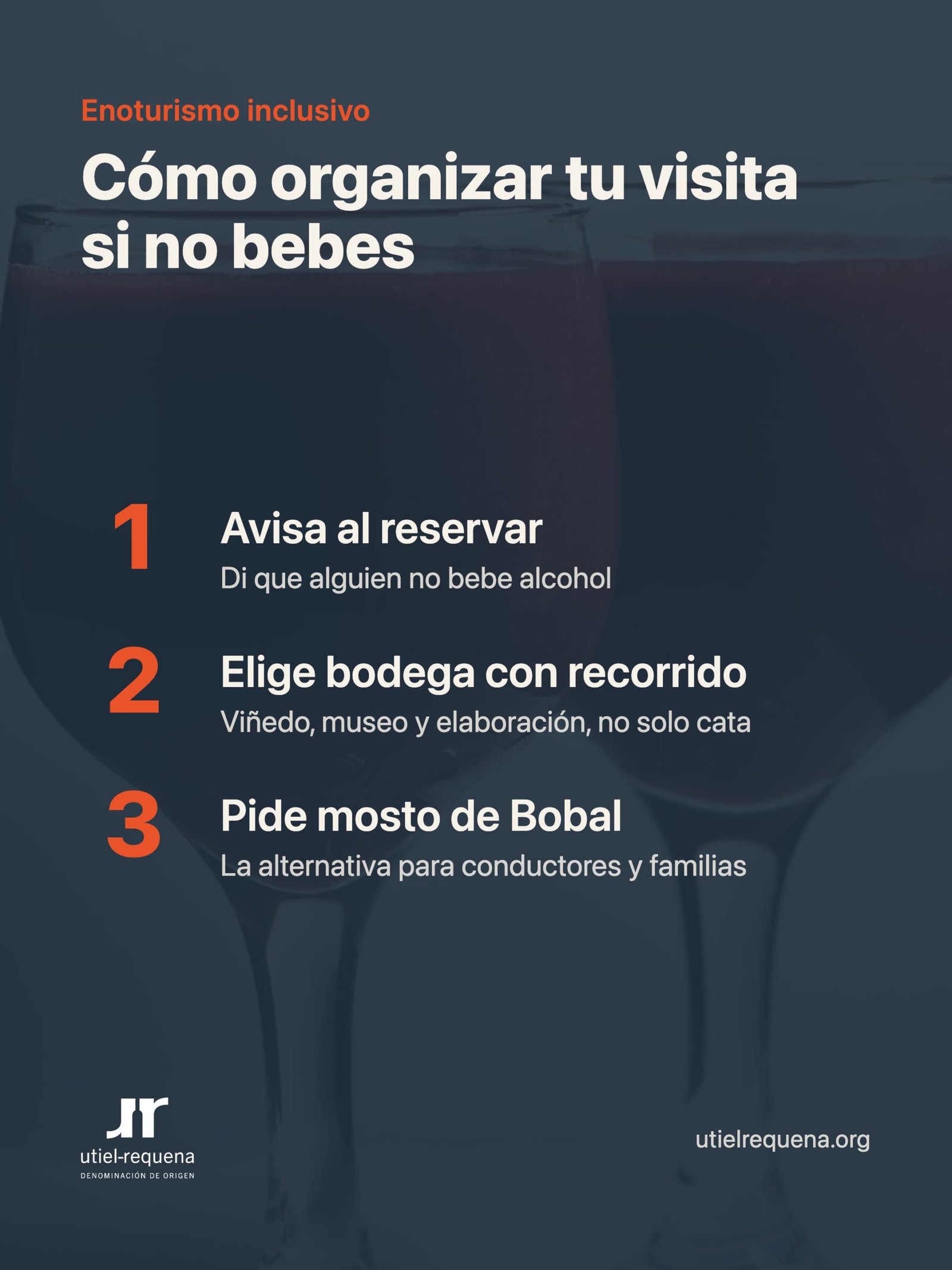 Cómo organizar una visita a bodega si no bebes alcohol, en tres pasos
