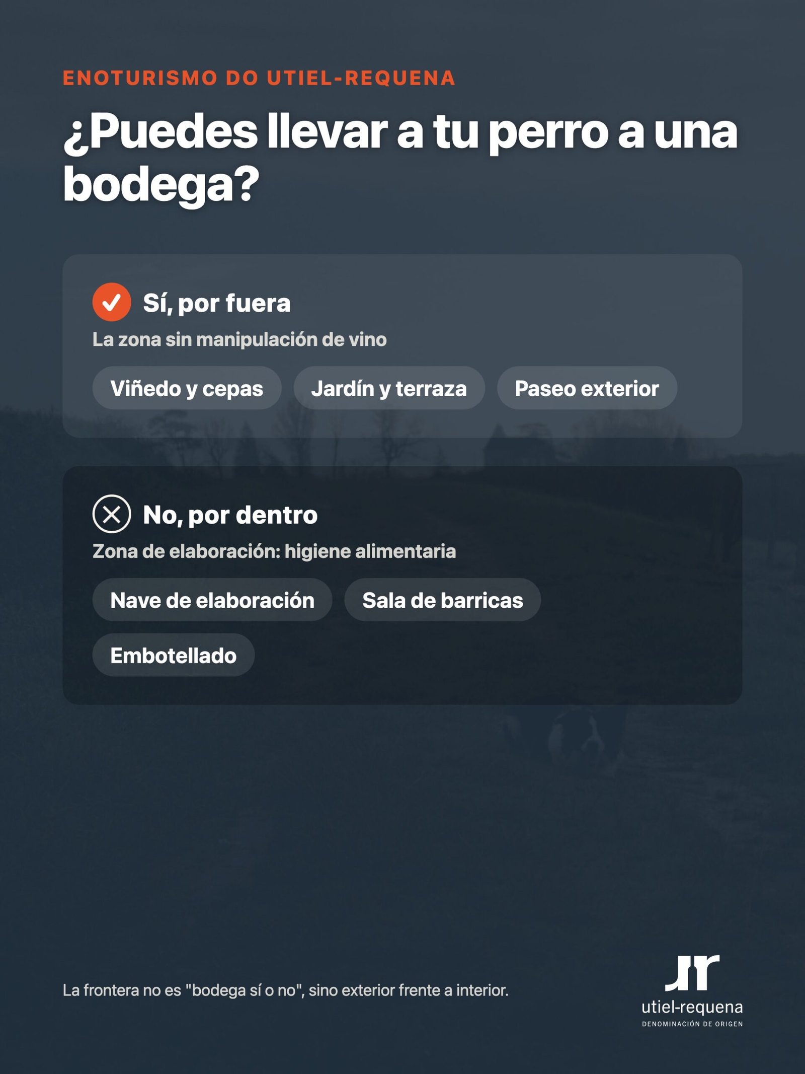 Dónde puede entrar tu perro en una bodega: exterior sí, zona de elaboración no