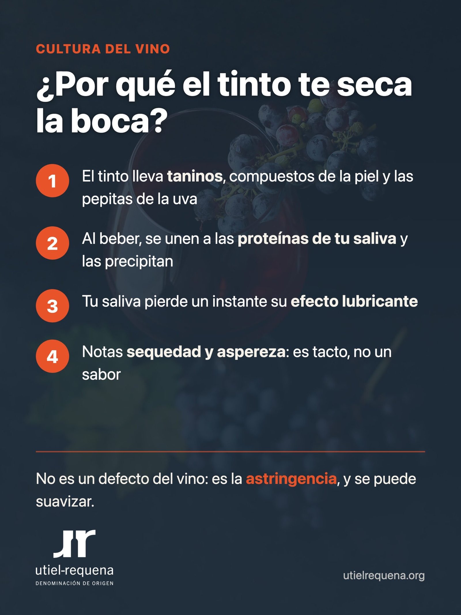Por qué el vino tinto seca la boca: los taninos se unen a las proteínas de la saliva y provocan astringencia