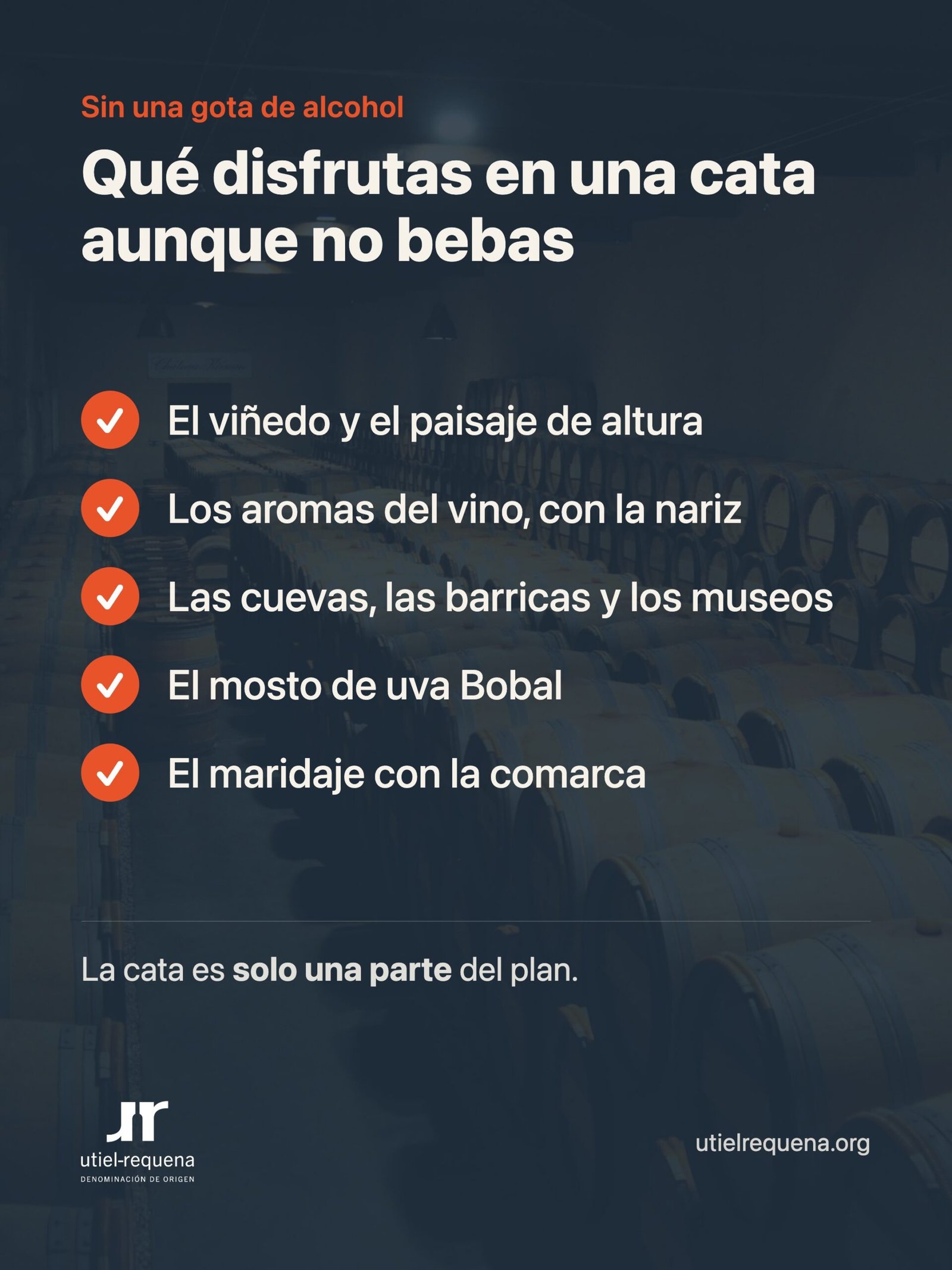 Qué disfrutas en una cata sin beber alcohol: viñedo, aromas, cuevas, mosto y maridaje