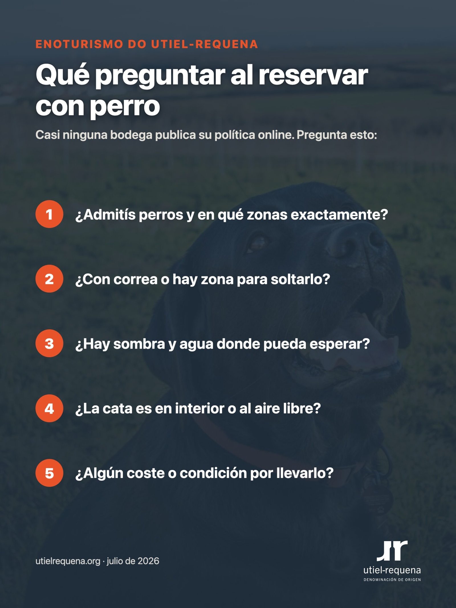 Cinco preguntas que hacer al reservar una visita a bodega con perro