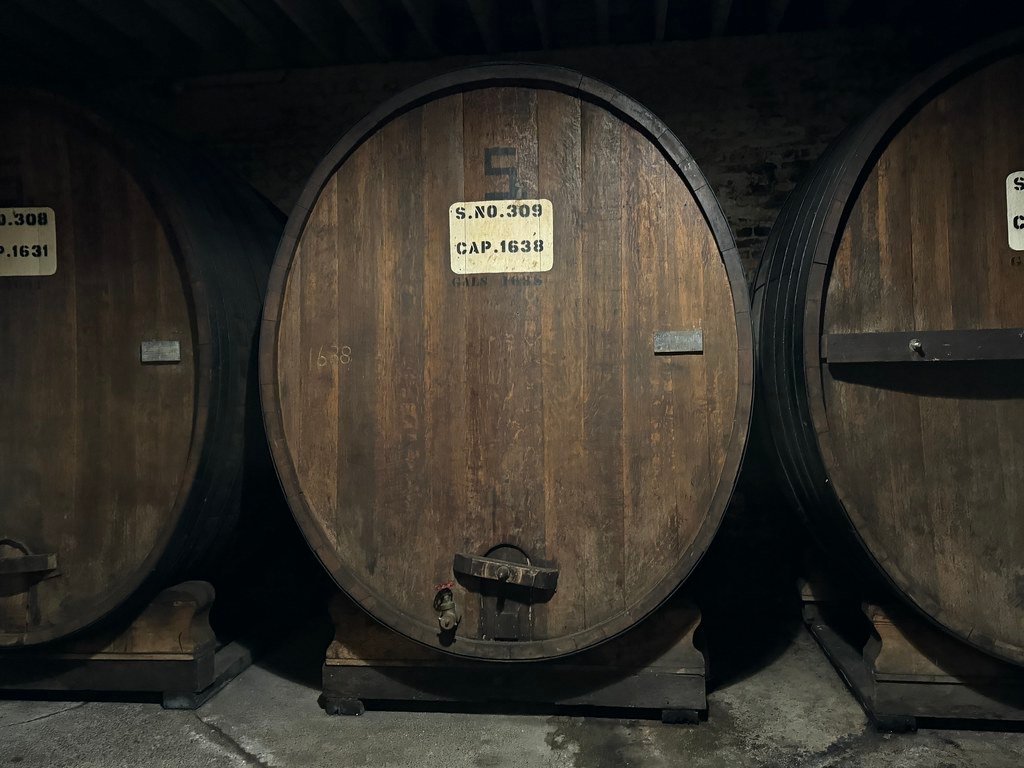 Barricas de roble envejeciendo vino en una bodega