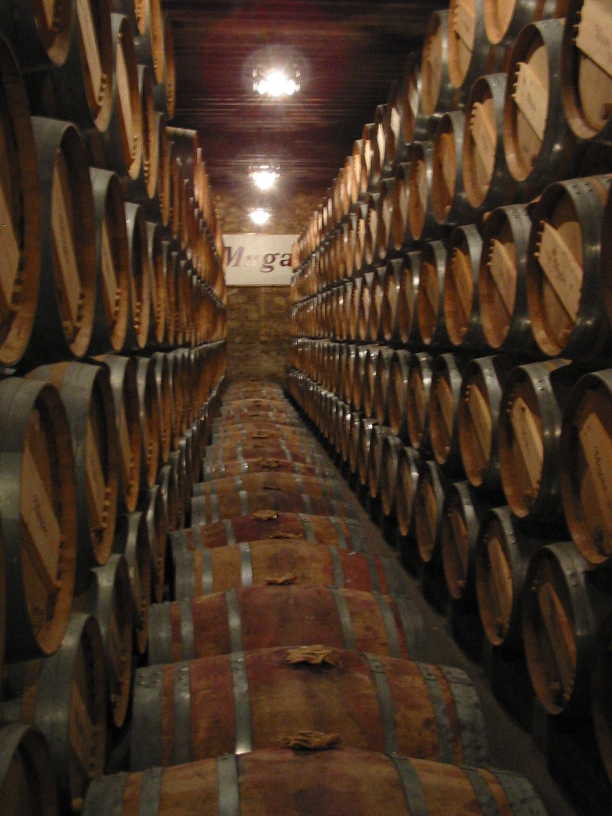 Nave de barricas de roble donde el vino reposa durante meses
