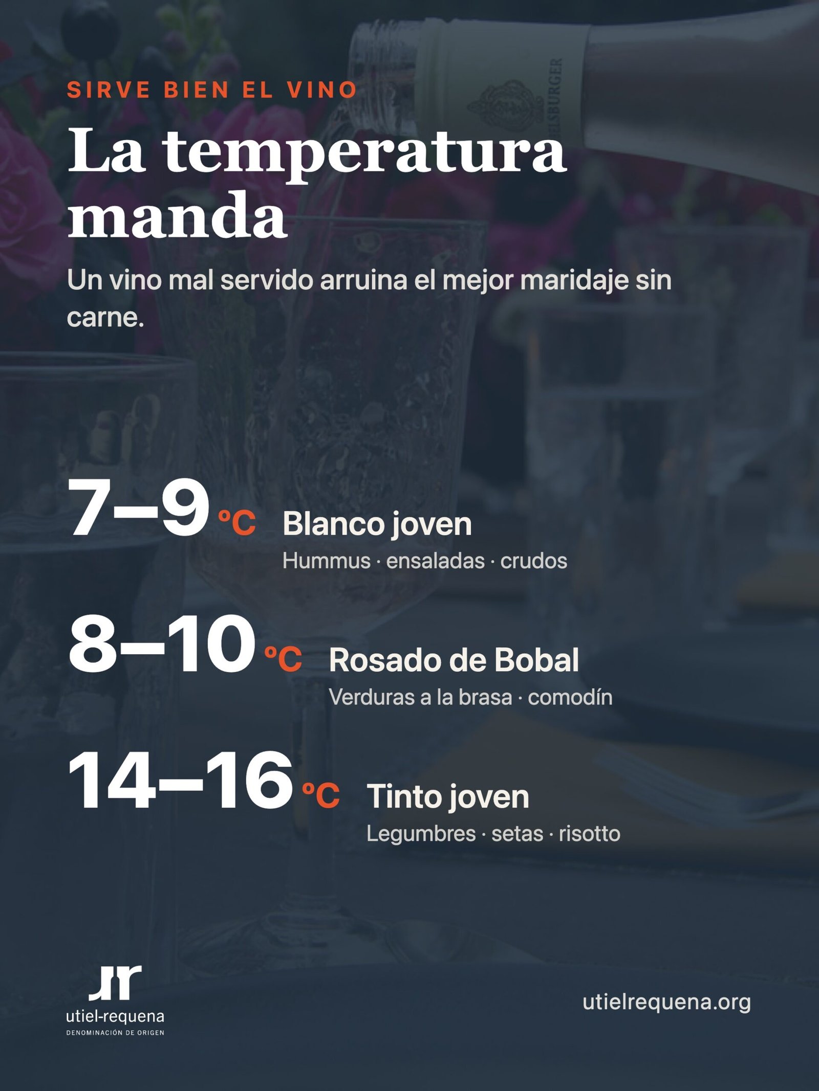 Infografía: temperatura de servicio del blanco, rosado y tinto joven para una comida sin carne