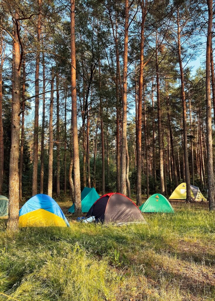 Dónde dormir en las Hoces del Cabriel: campings, casas rurales y alojamientos entre viñedos
