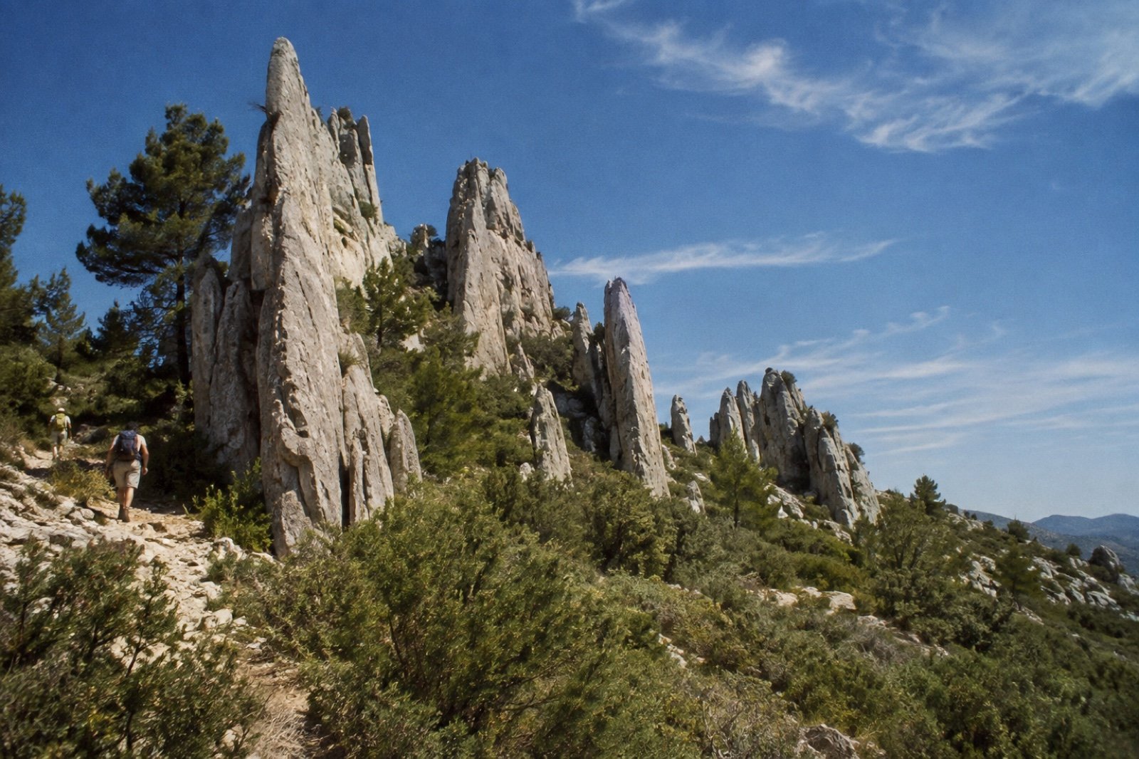 Crestas verticales de roca caliza sobresaliendo del monte mediterráneo en el paraje de los Cuchillos