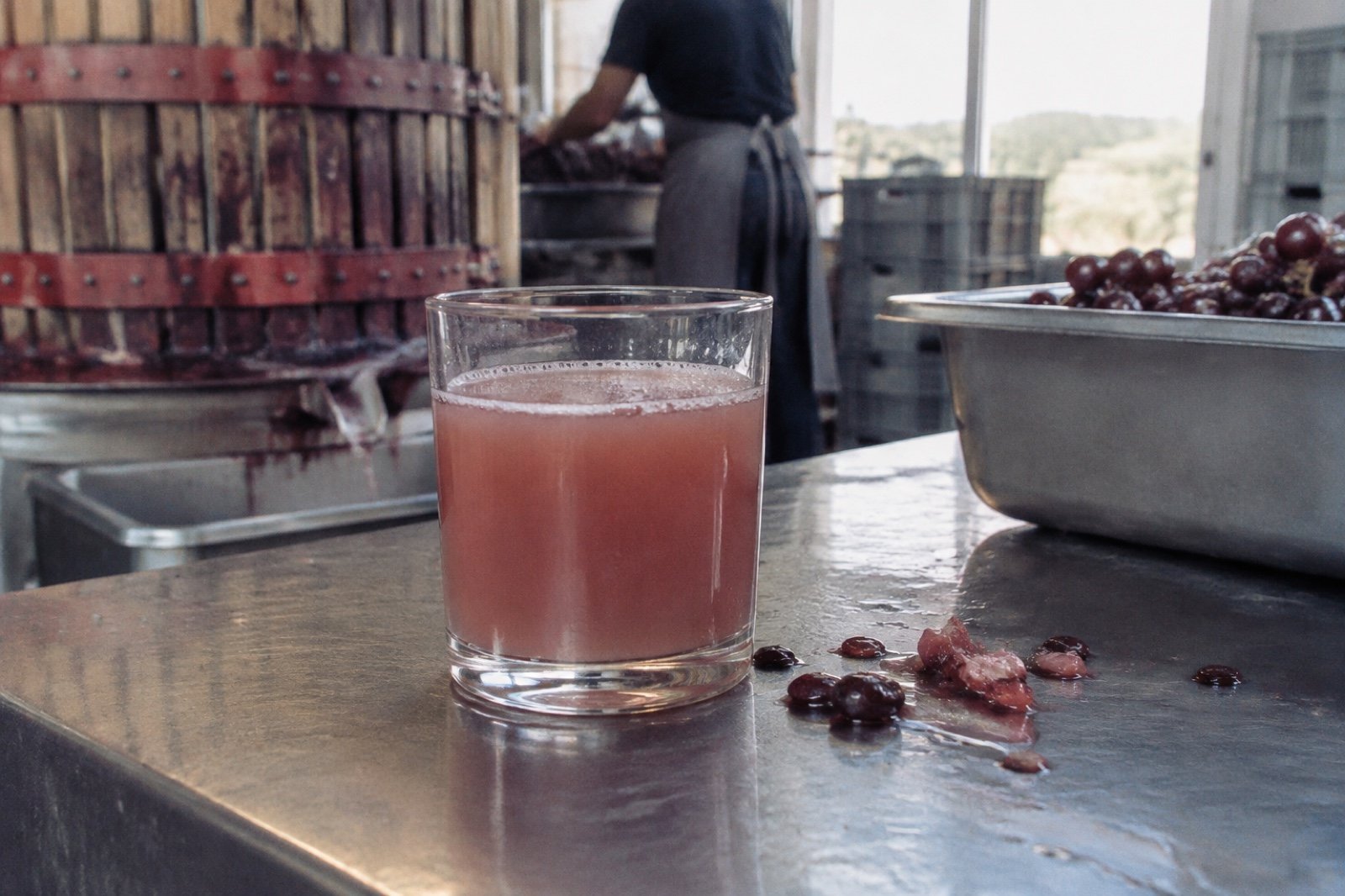 Vaso de mosto recién prensado sobre una mesa de acero de bodega, turbio y con espuma