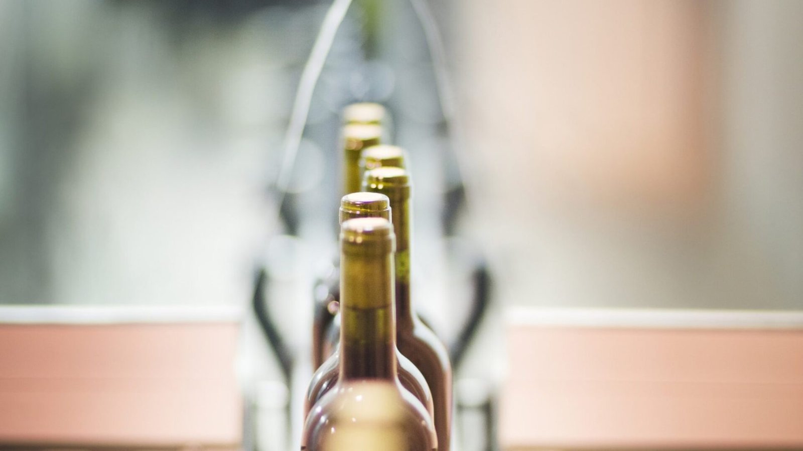 006 DO Utiel Requena Fotografias Finales HQ-min