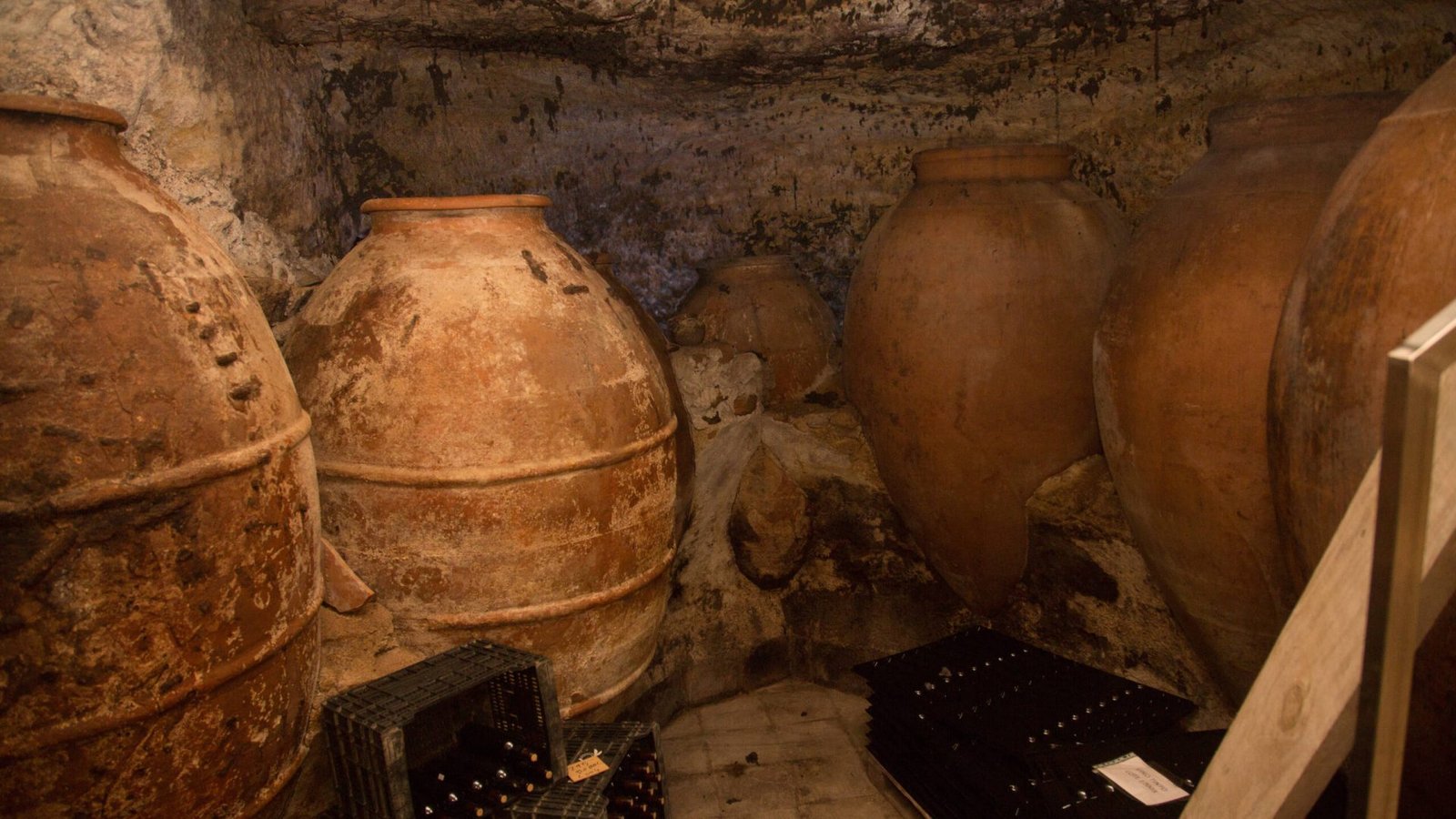Tinajas centenarias en la bodega cueva subterránea de Bodegas Lupanda, en Requena