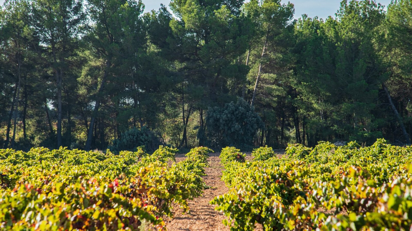 2023-09-28-IMG012-1-min