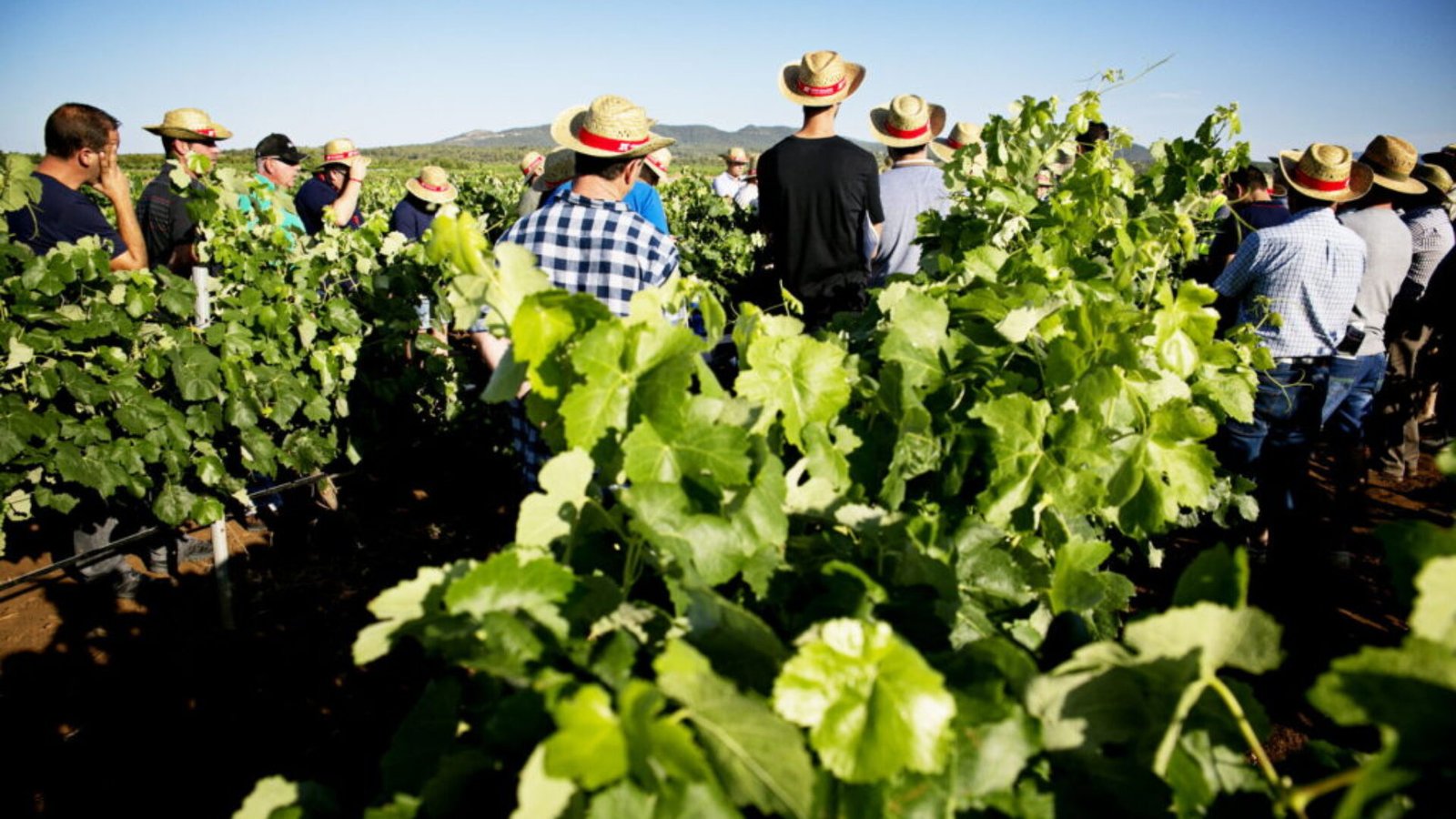 2Q7A5440-como-objeto-inteligente-1-1024x683 (1)