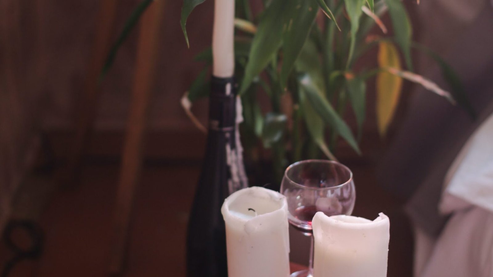 5 propuestas de libros para saber más sobre vino