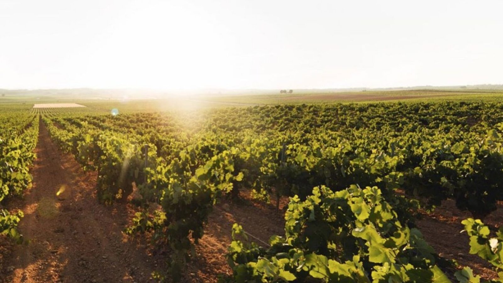 DESPOBLAMIENTOREQEUNA