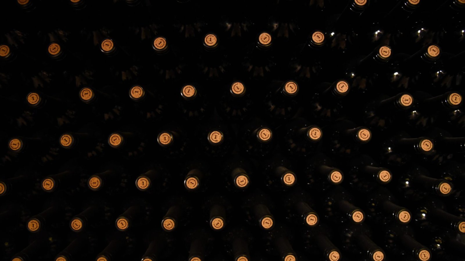 Botellas en rima envejeciendo en la bodega Vinea Clausa de Fuenterrobles