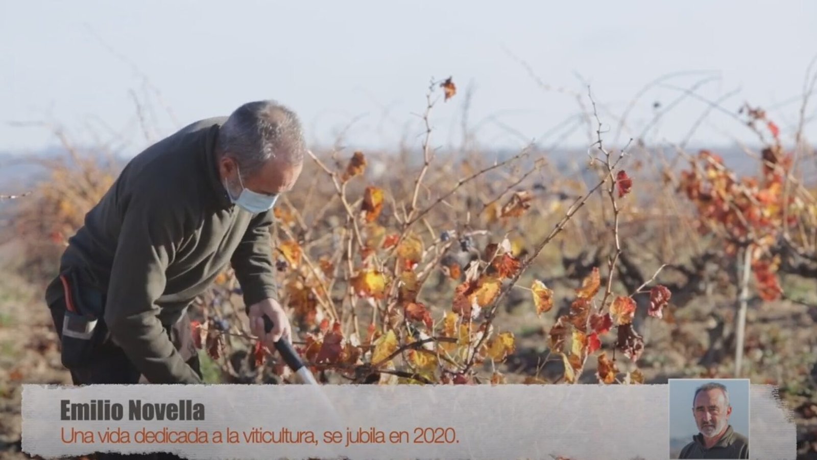 capture-20210122-111309