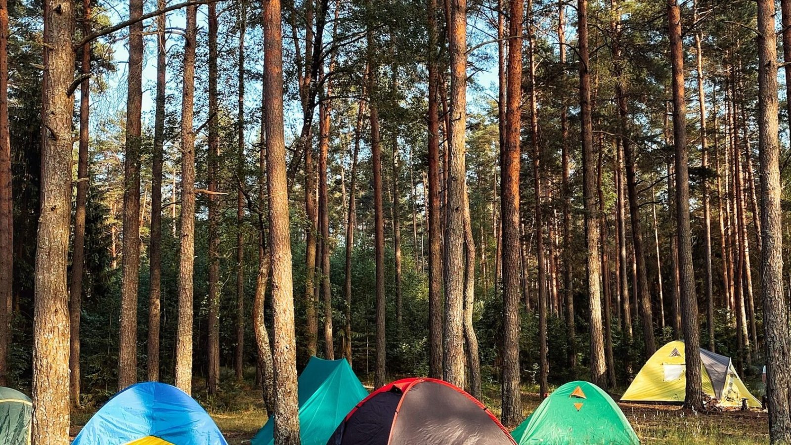 Tiendas de campaña en un camping junto al Parque Natural de las Hoces del Cabriel