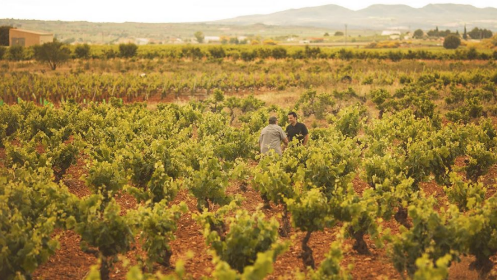 planesutielrequenaseptiembre